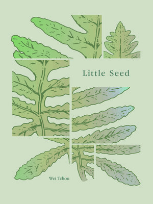 cover image of Little Seed